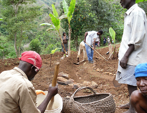 Helping Hands Noramise - Aquaculture project in Limbé, Haiti